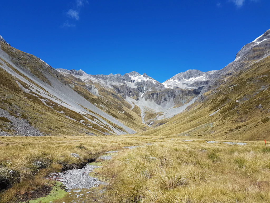 Aufstieg zum Waiau Pass