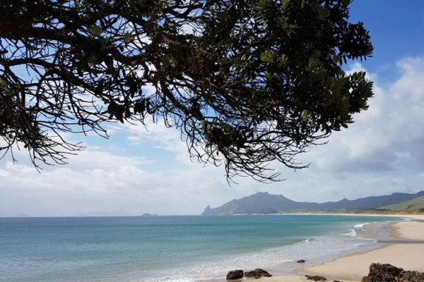 Dritte Etappe: Bay of Islands bis Whangarei Heads