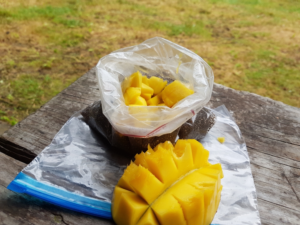 Chiapudding mit Mango