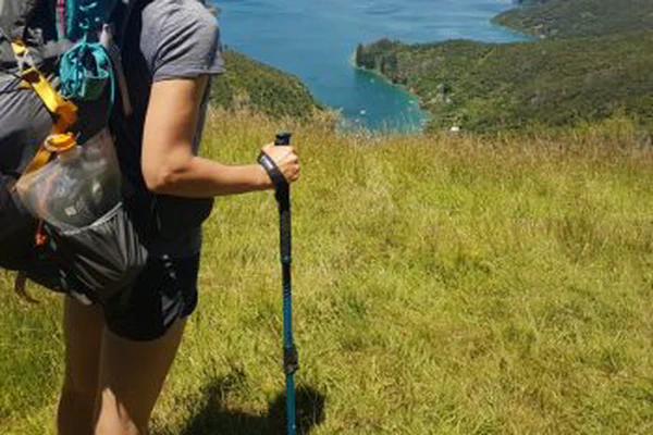 Elfte Etappe: Willkommen auf der Südinsel