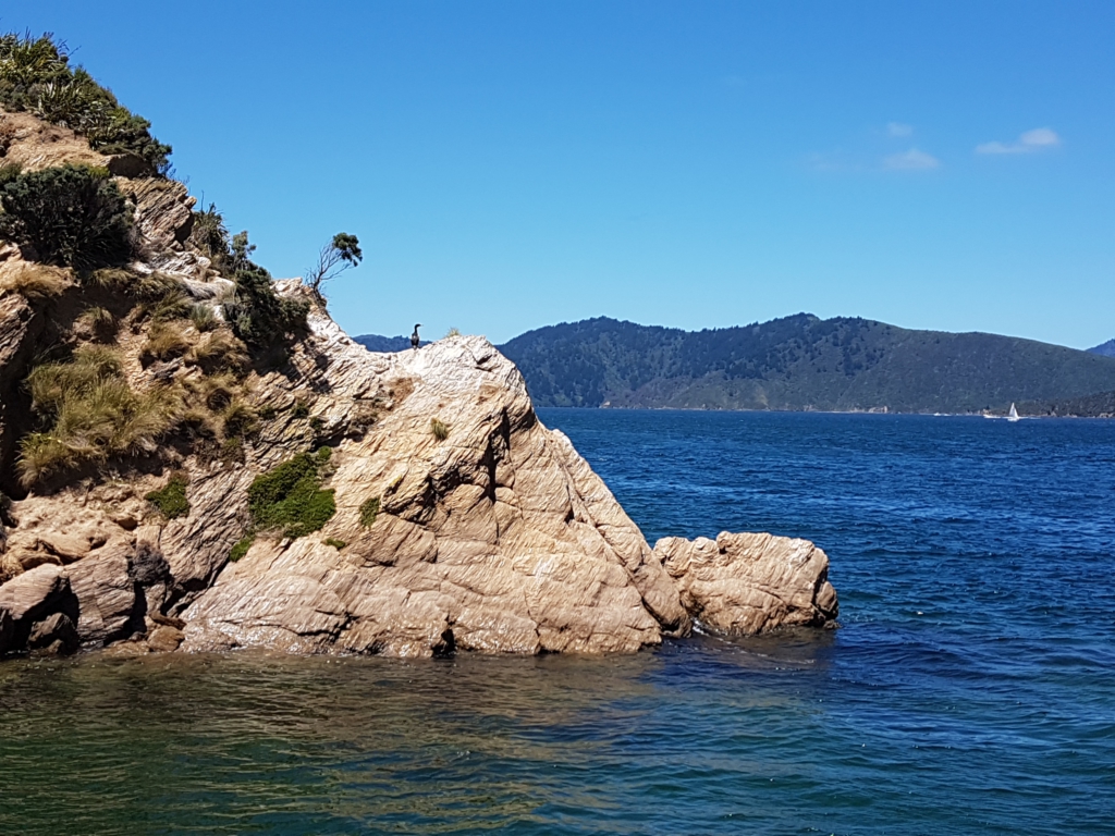 Queen Charlotte Sound