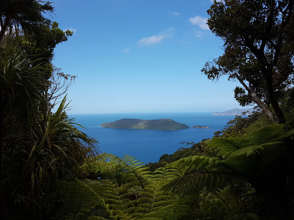 Queen Charlotte Track