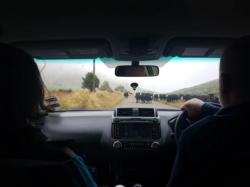 Ja, so fern der Zivilisation lag der Trailstart.