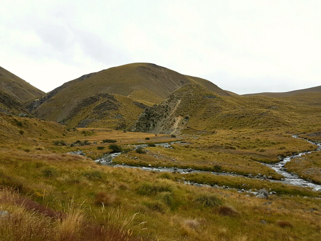 Weite Tussock-Felder