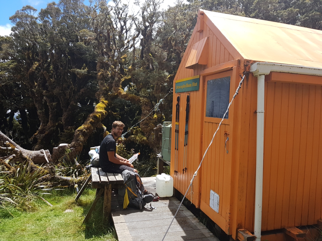 Pause an der kleinen Dracophyllum Hut (2 Betten)