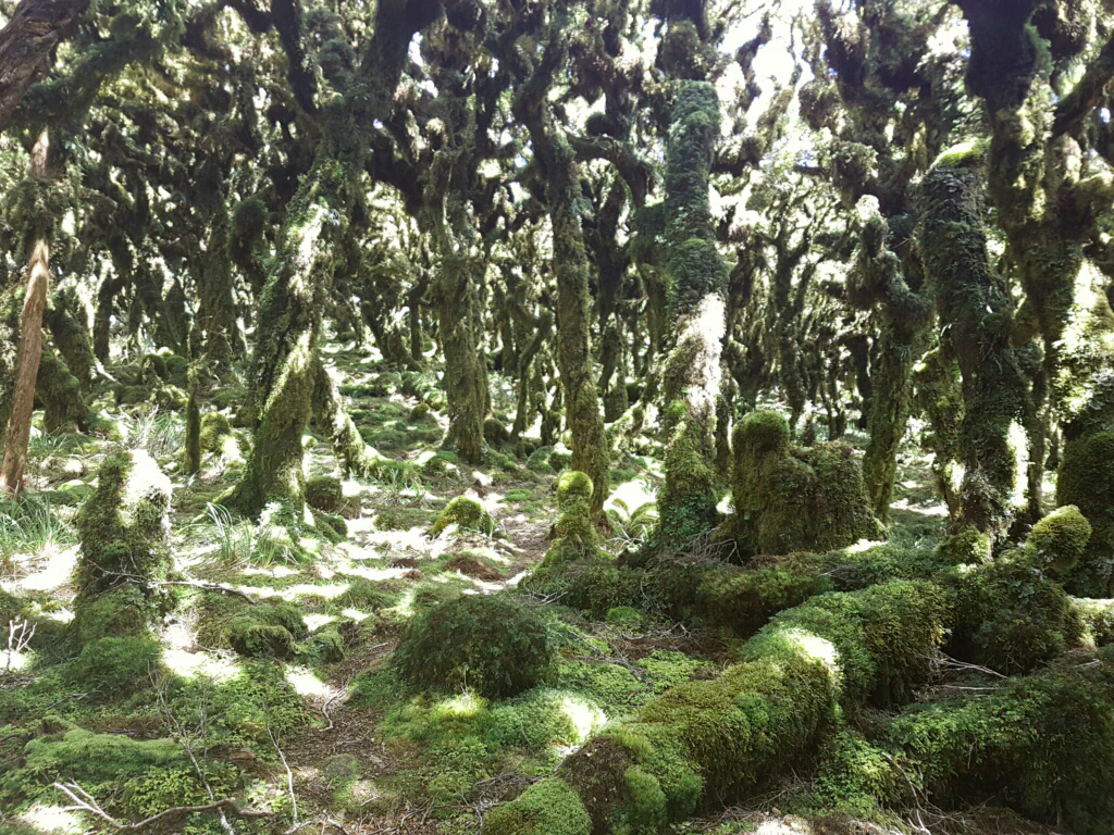 Auf dem Kamm bei bestem Wetter