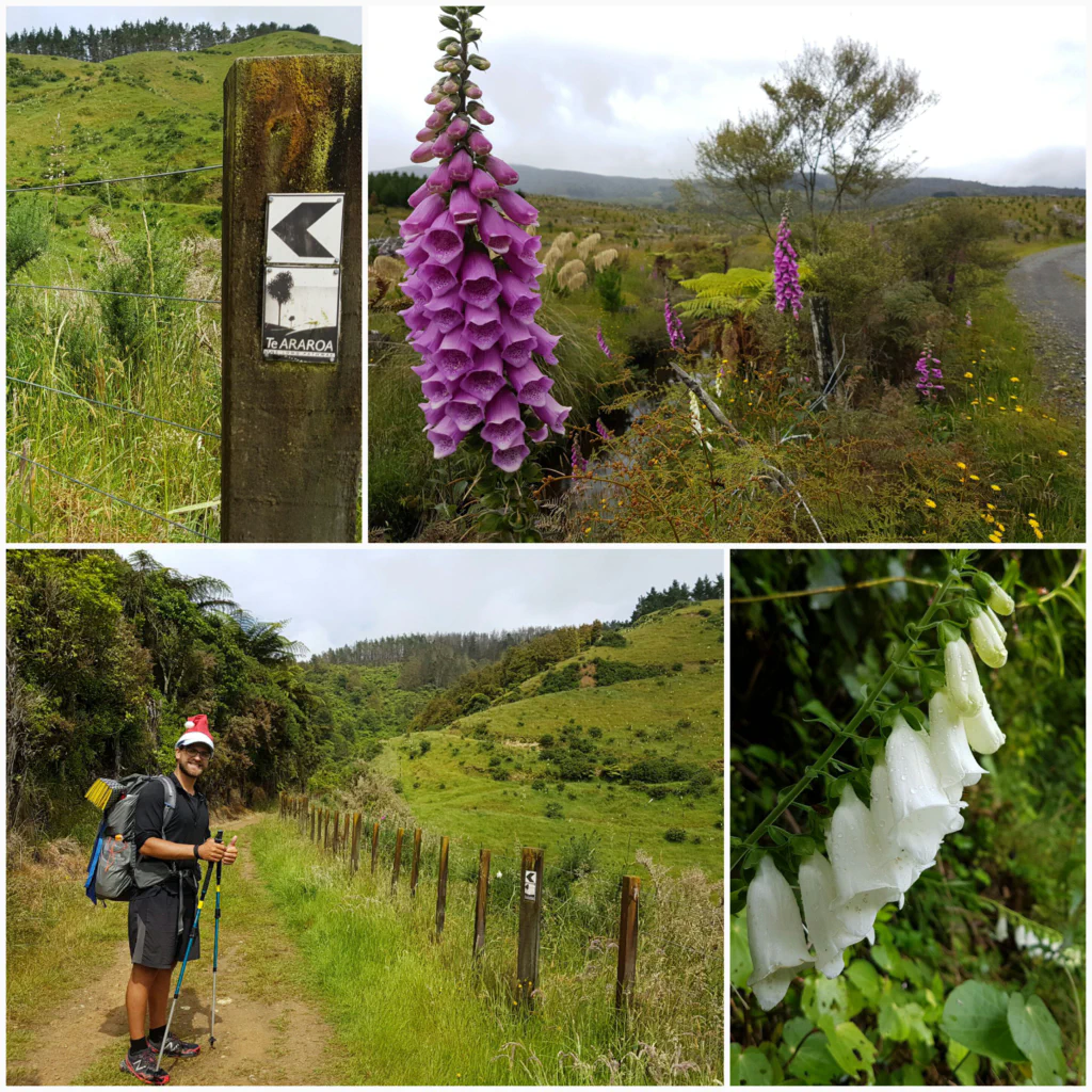 Mit Weihnachtsmuetzen im Regen