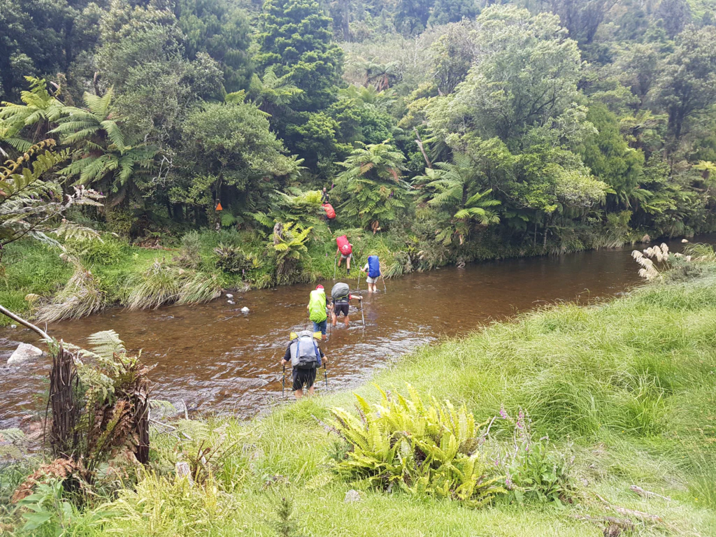 Hagelkoerner auf dem Weg