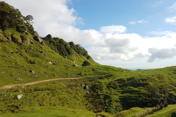 Sechste Etappe: Auf einem der Top 10 Te Araroa-Wege nach Waitomo