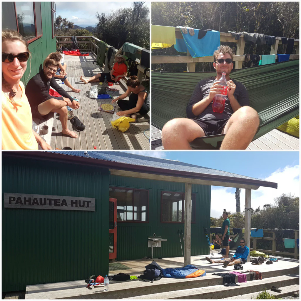Pahautea Hut