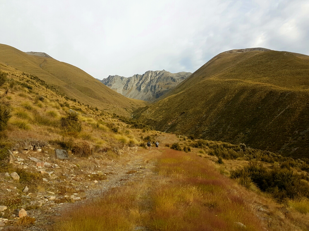 Hinauf zum Mt Martha Saddle