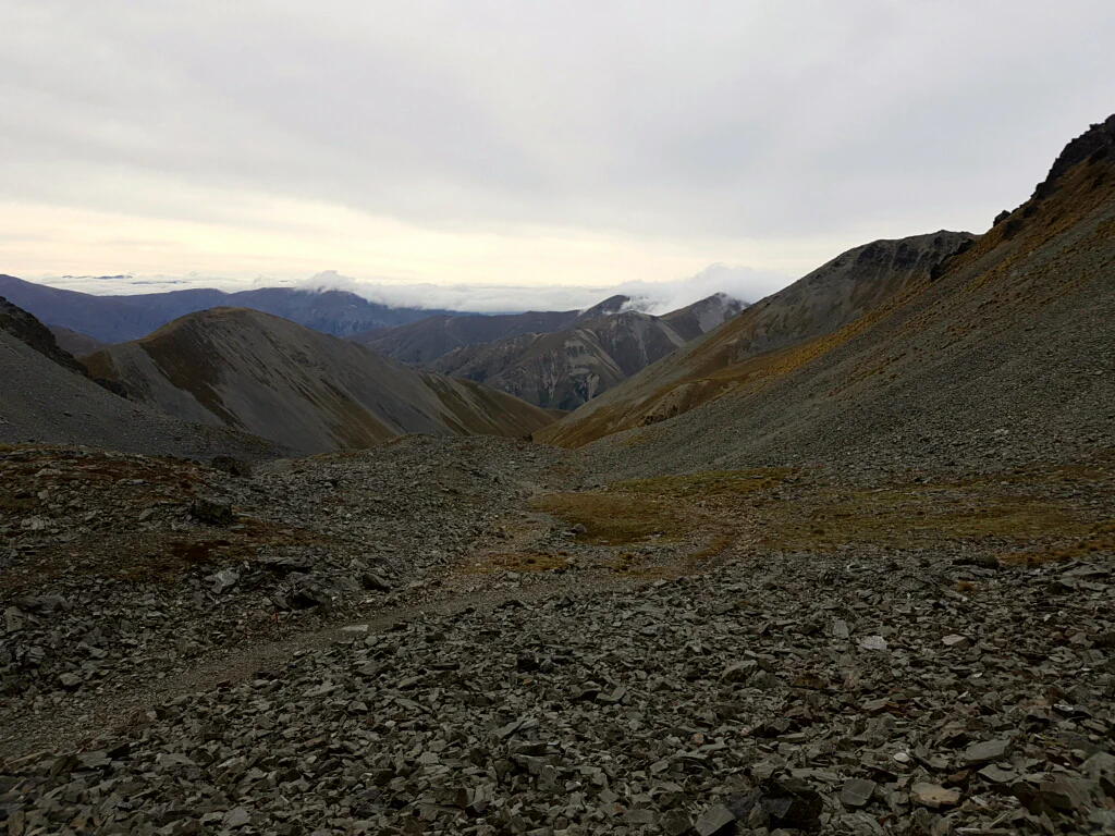 …wo bald immer weniger wuchs…