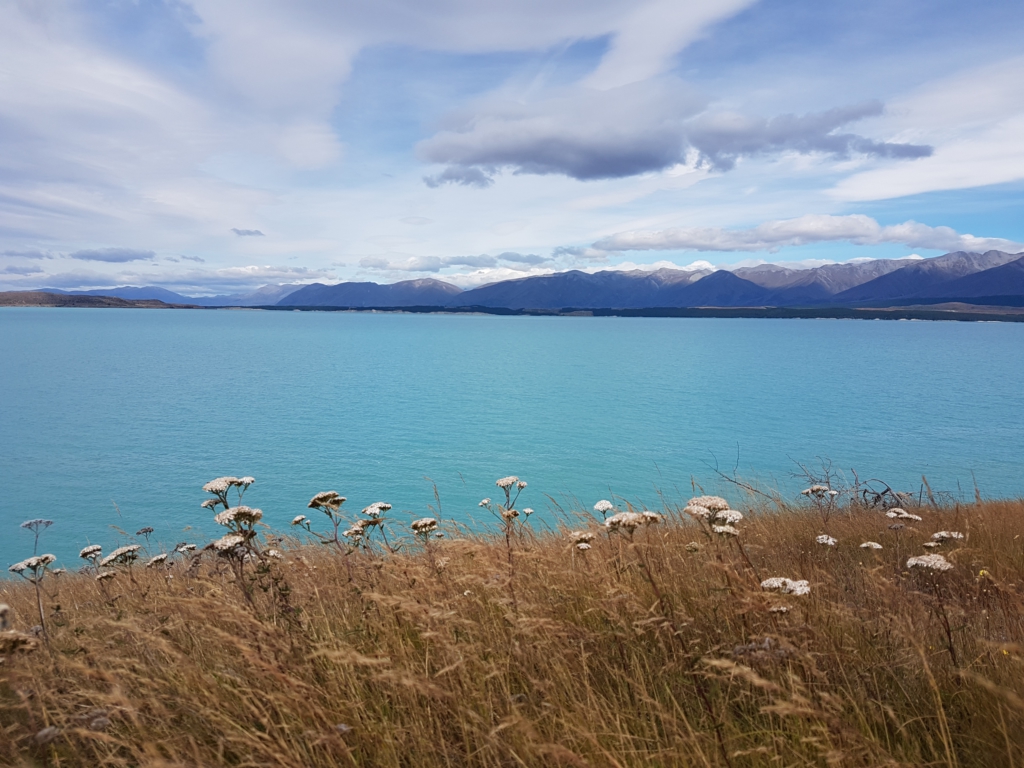 Lake Pukaki