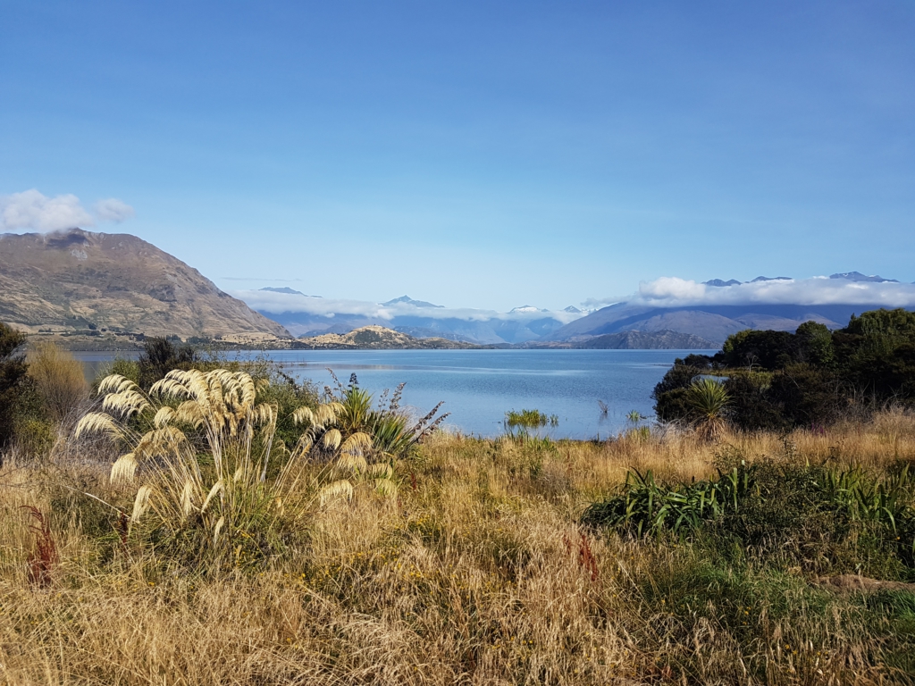 Lake Wanaka