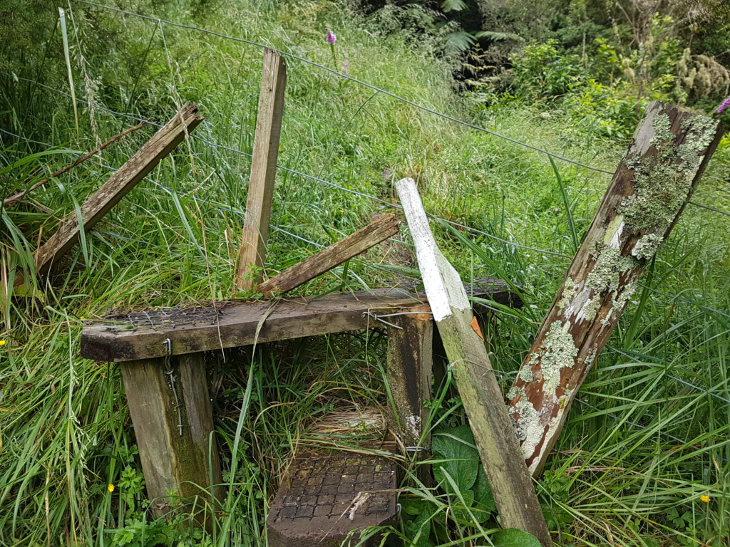 Elektrozaun-Ueberquerung