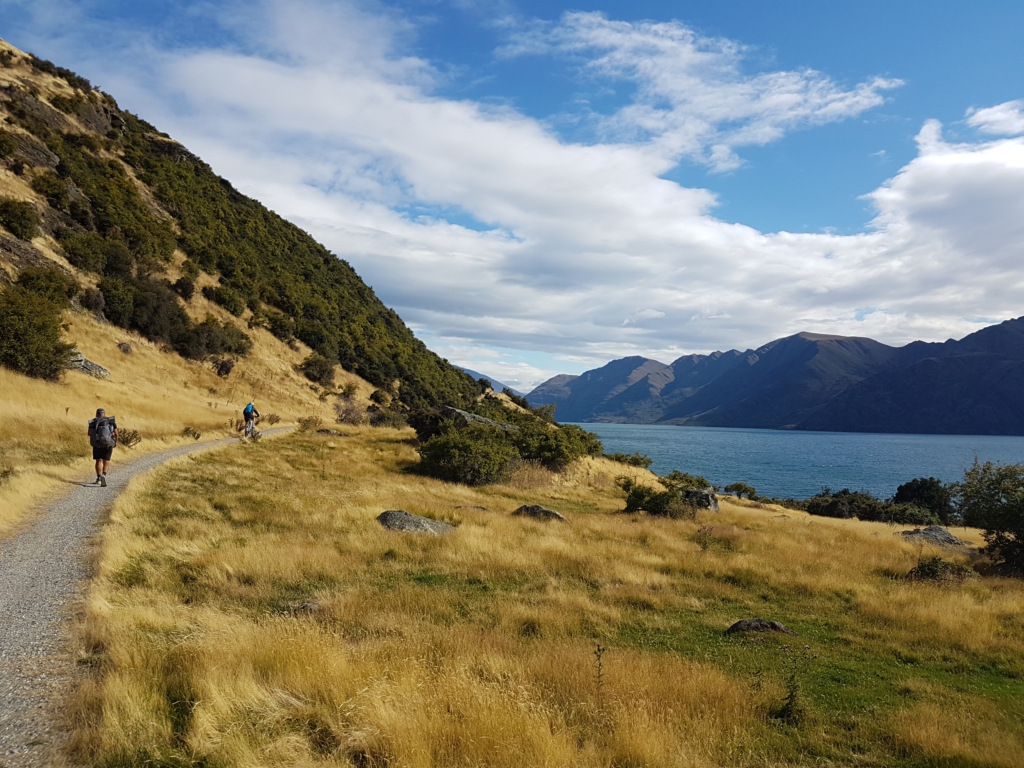 Lake Wanaka