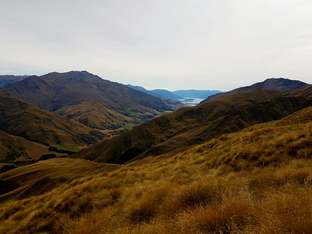 immer noch Lake Wanaka