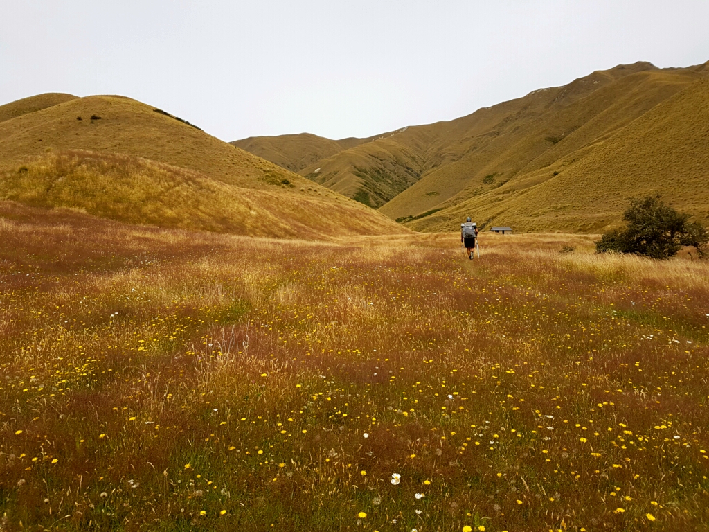 Roses Hut