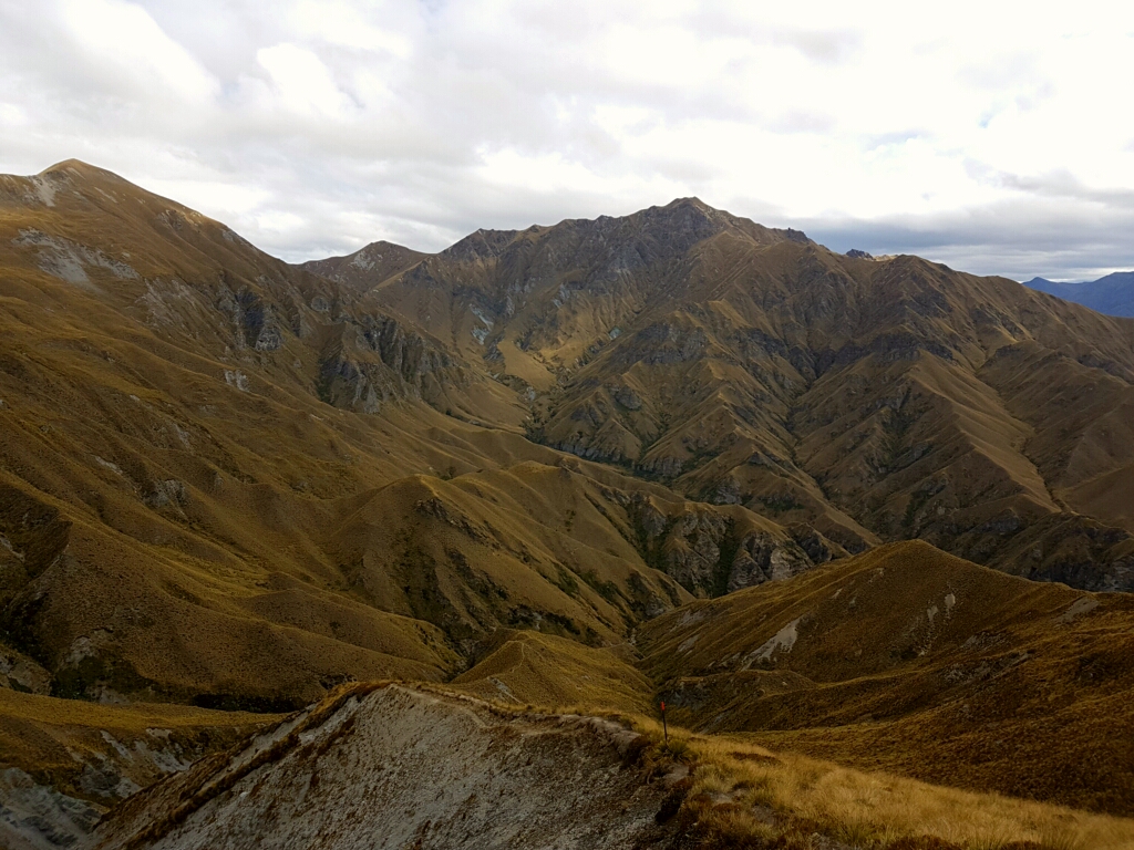 Ein bisschen wie in den Tararua Ranges