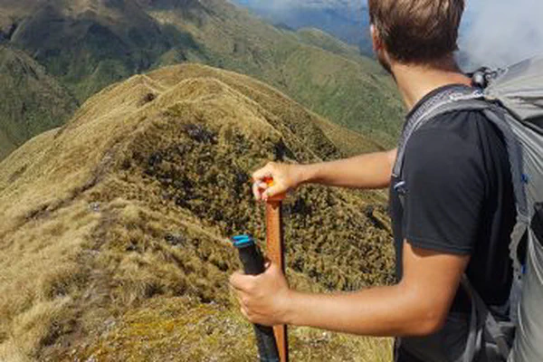 Te Araroa North Island: unsere Top 5