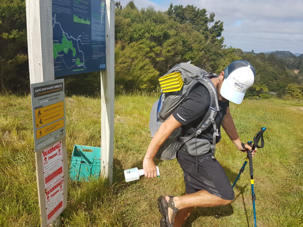 Bekämpfung der Kauri Dieback Desease