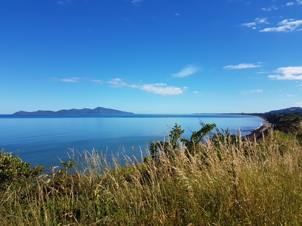 Kapiti Island