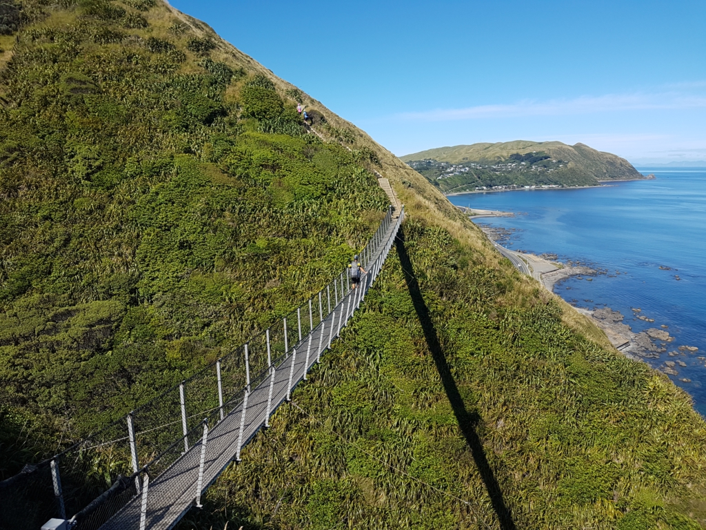 Escarpment Track