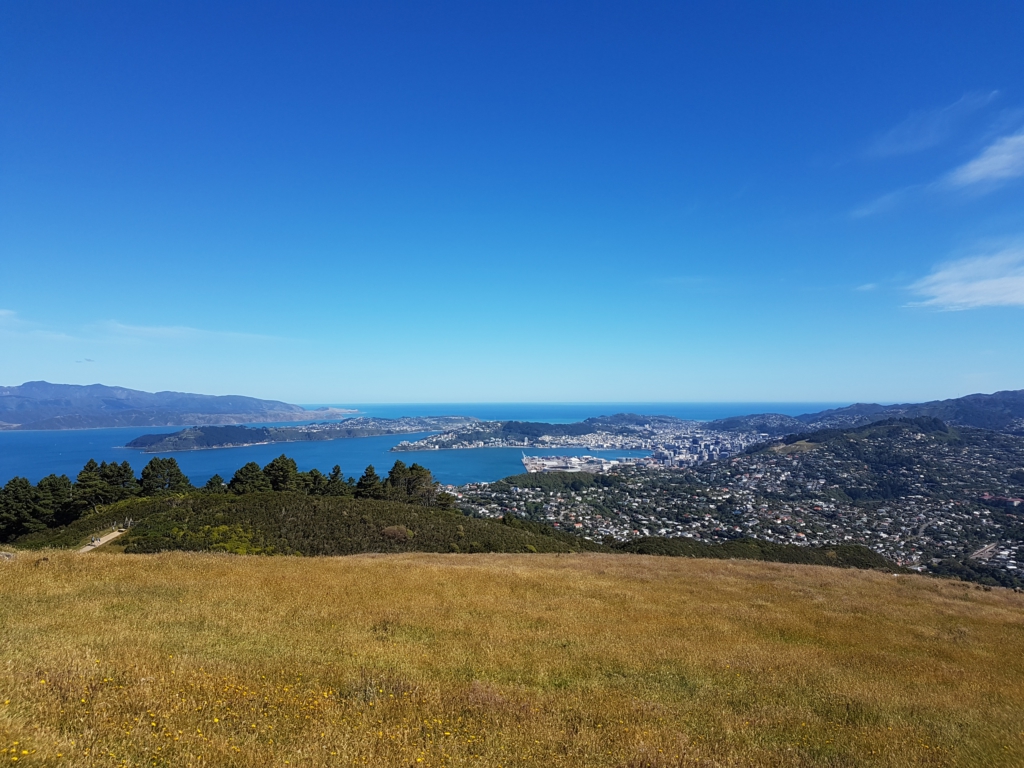 Blick auf Wellington von Mount Kaukau