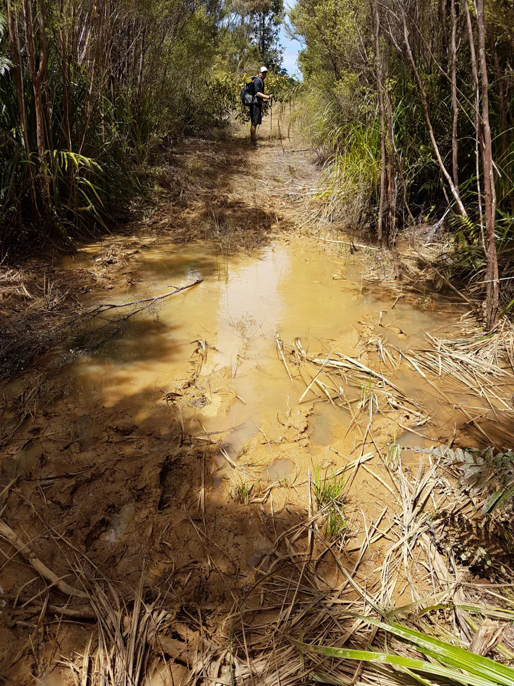 Jan nach dem Sturz in den Matsch