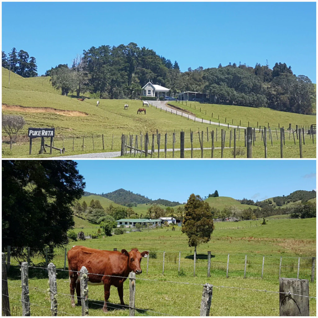 Idyllisches Farmland