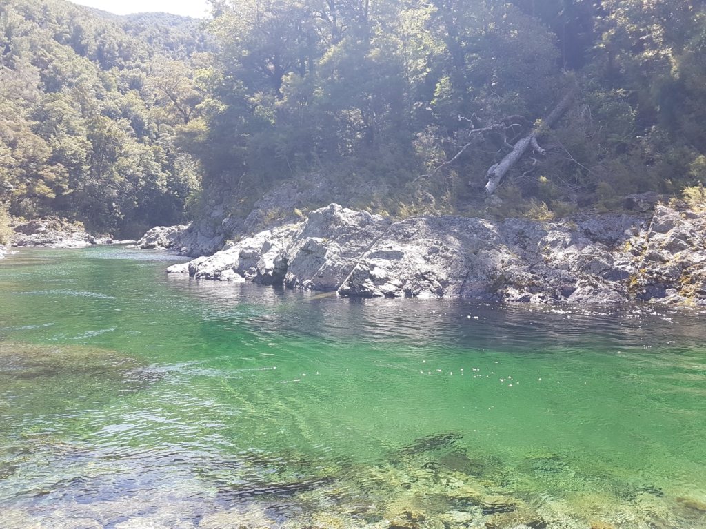 Pelorus River