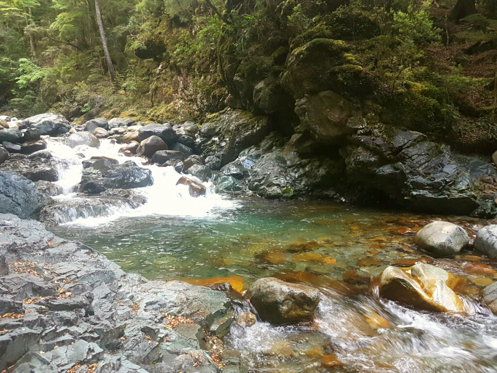 Entlang des Wairoa River