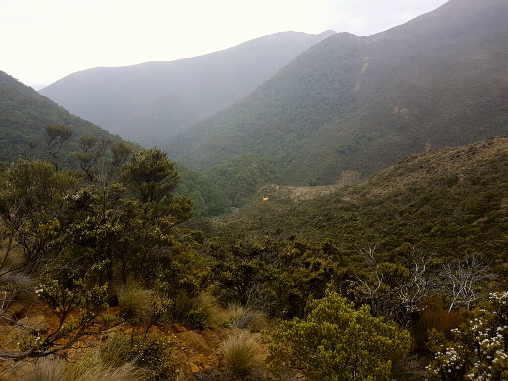 Blick zurück auf die Top Wairoa Hut