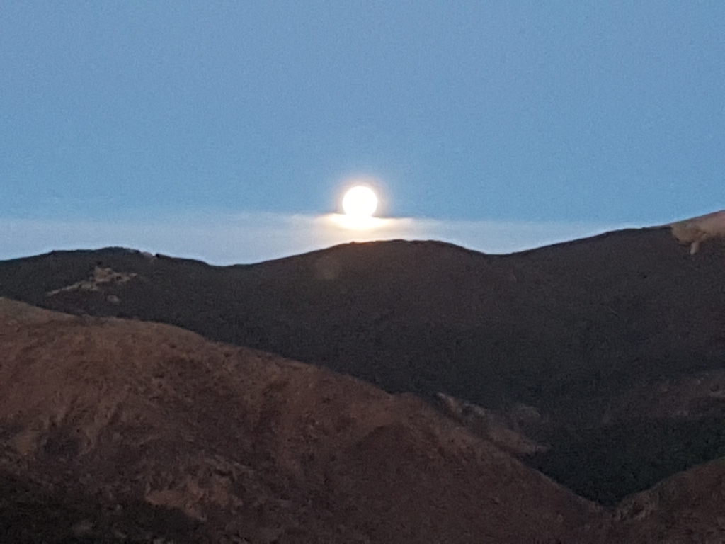 Blick auf den Mond