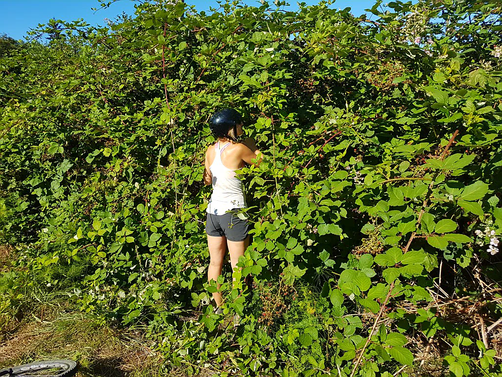 ...fürs Helm abnehmen bleibt keine Zeit!