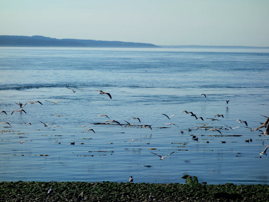 Abendstimmung über dem Meer