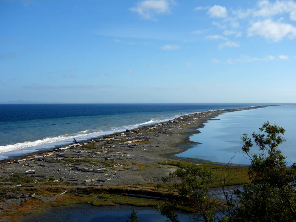 Dungeness Spit - 10km bis zur Spitze der Landzunge