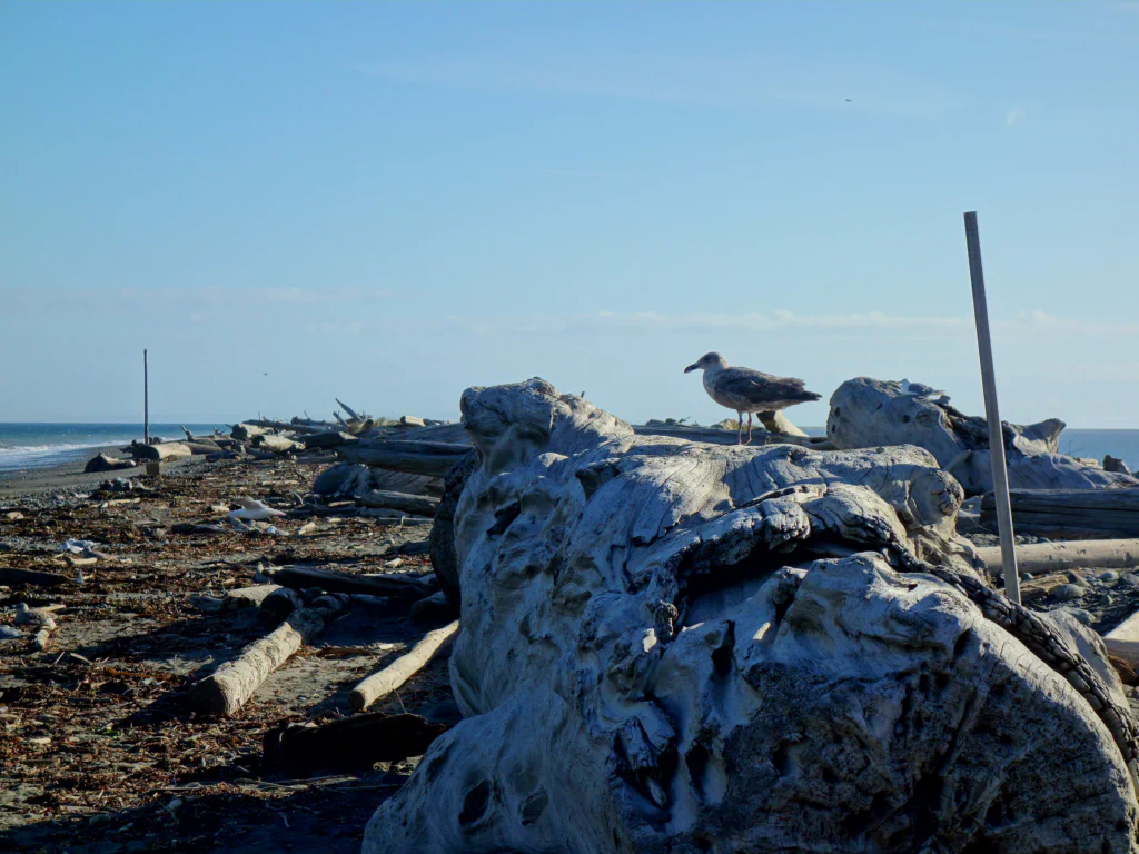 Der Strand ganz fuer mich allein