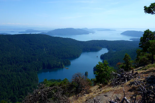 Inselhopping über die San Juan Islands im Norden Washingtons (Teil 1)