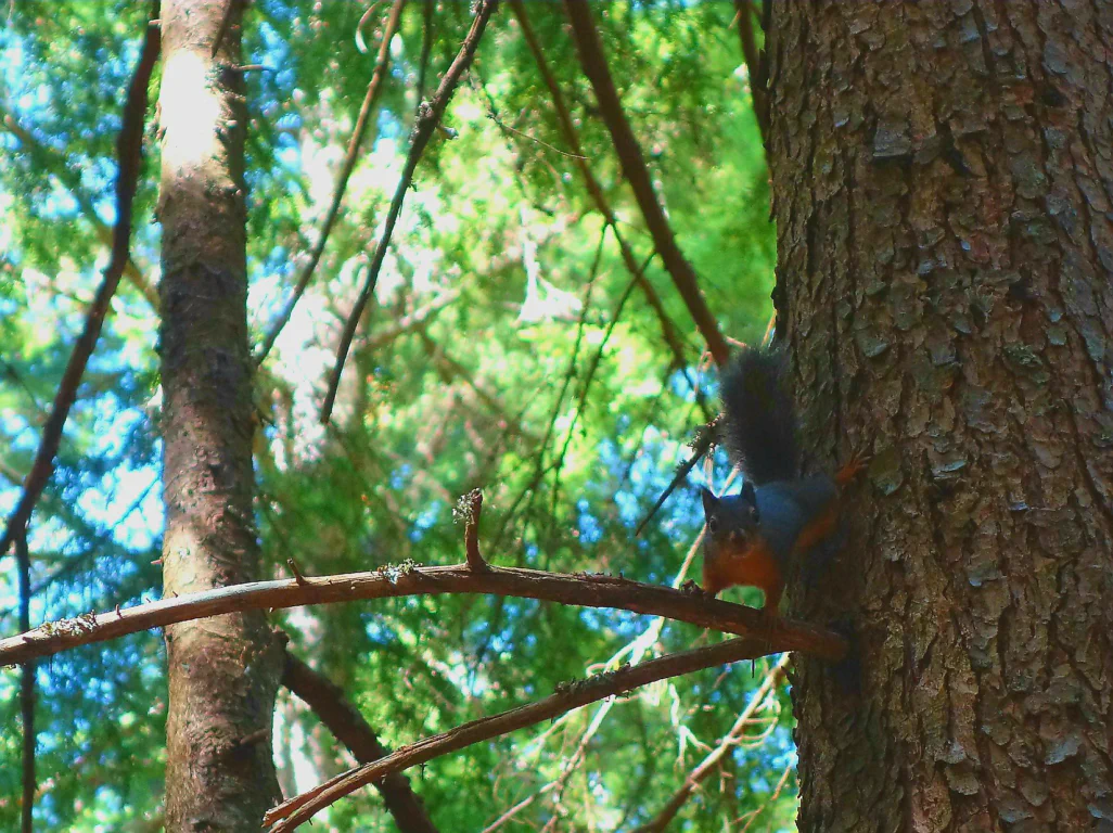 Der Aufstieg beginnt