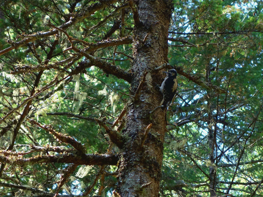 Der Abstieg mit Aussicht