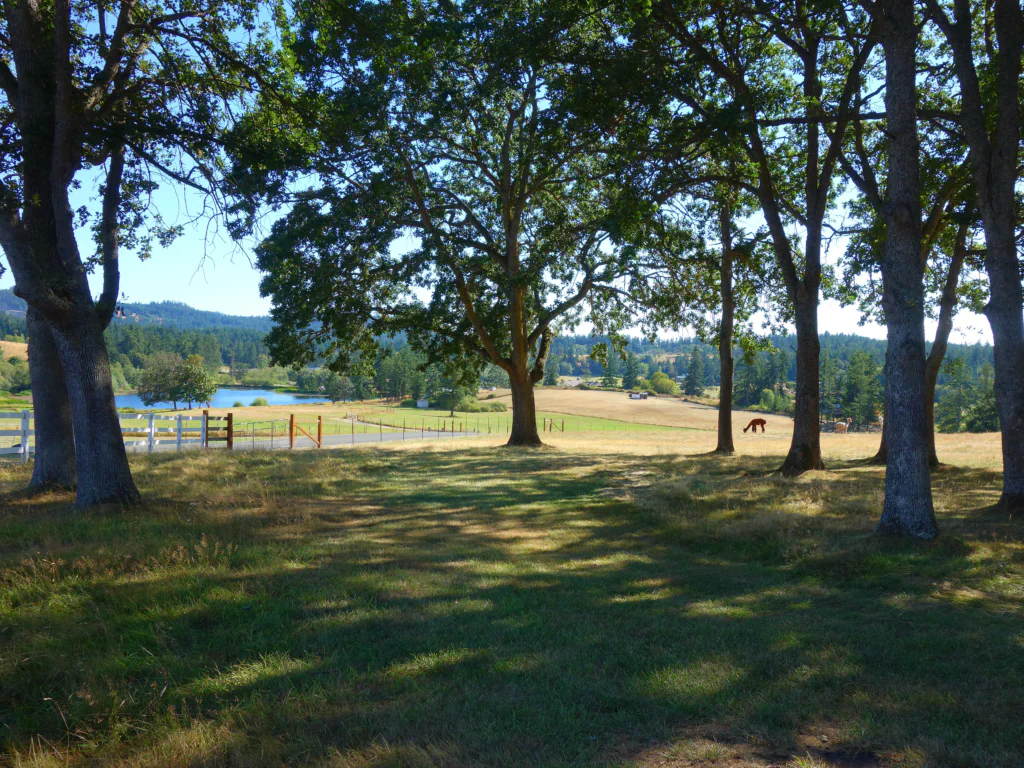 Landleben auf San Juan Island
