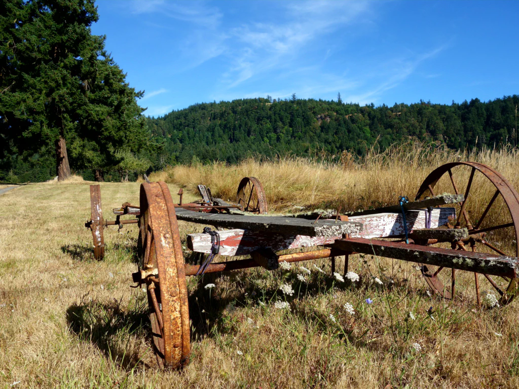 Unterwegs auf San Juan Island