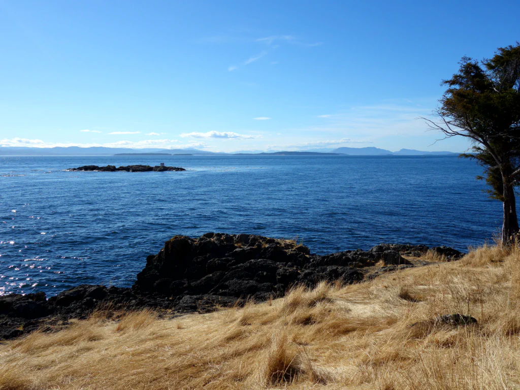 Kein Orca in Sicht...