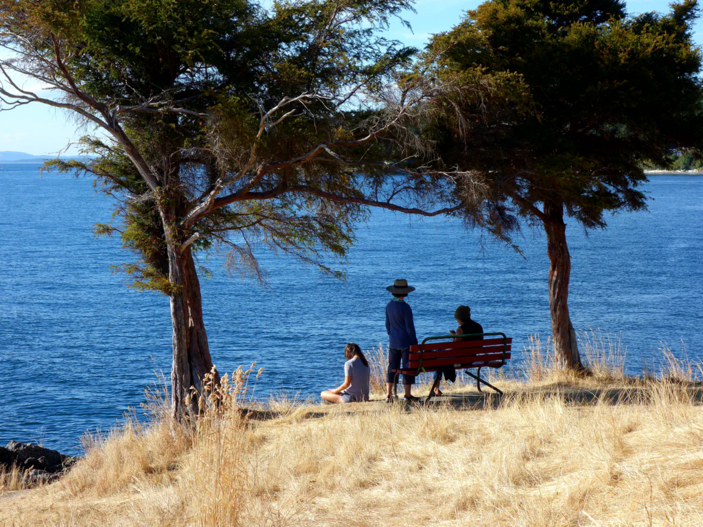 Hatten diese Camper mehr Glück?