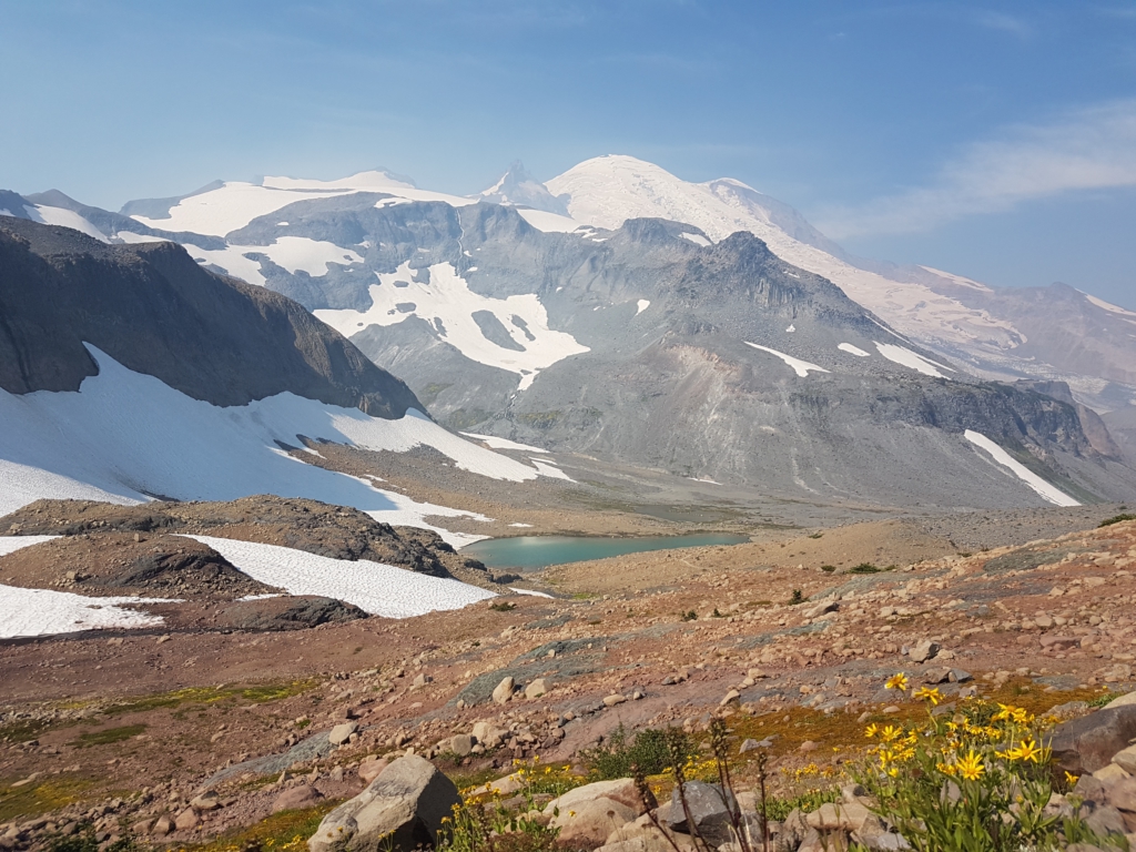 Seattle und Mount Rainier National Park - oder warum es auf dem Land einfach tausendmal schöner ist.