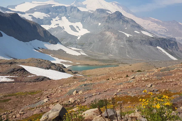 Seattle und Mount Rainier National Park - oder warum es auf dem Land einfach tausendmal schöner ist.