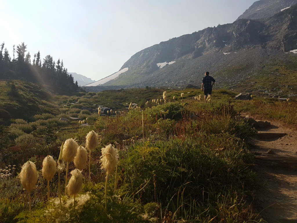 Abschied von Mount Rainier?